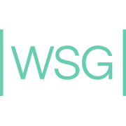 WSG AG